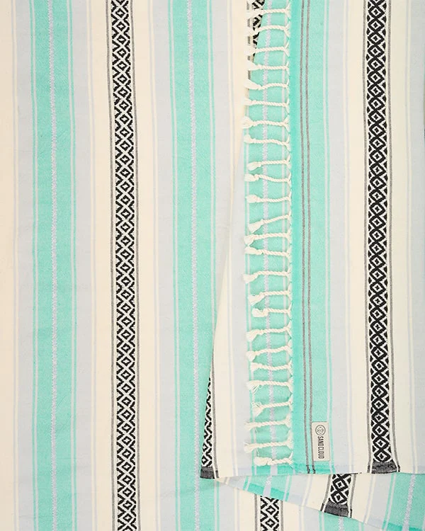 Mint Baja XL - Image 4
